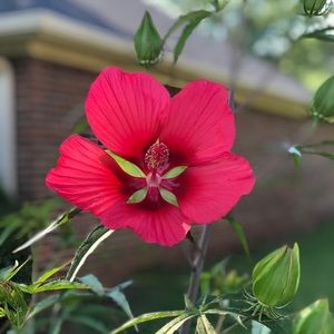 Meet your Posher, Sam